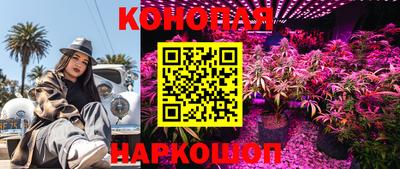 Альфа ПВП Заводоуковск