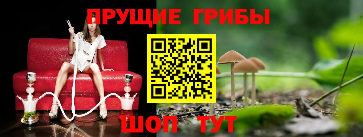 Галлюциногенные грибы мицелий  Псилоцибиновые грибы мухоморы  Вход с VPN  Чайковский 